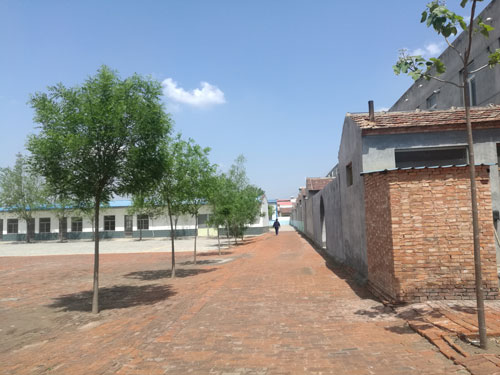 德州健之源專(zhuān)業(yè)承接袋泡茶oem加工,袋泡茶加工,袋泡茶代加工袋泡茶oem加工,袋泡茶加工,袋泡茶代加工...等等為您提供一站式全方位的服務(wù)，從原料、配方、包裝等一切由雙方協(xié)商解決?，F(xiàn)面向全國(guó)承接各類(lèi)袋泡茶保健茶批發(fā)制作來(lái)料加工、包工包料。