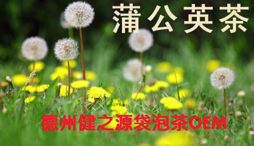 蒲公英茶，今天您喝了嗎？